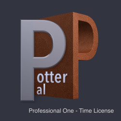 Professional One-time License
